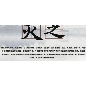 6月19日国家级万良人参市场最新价格