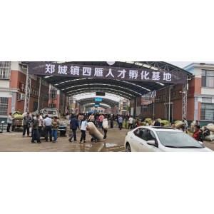 平邑金银花药材产地价格(2023.06.20)