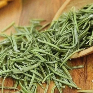夏季蚊蝇多，中草药驱蚊有妙招