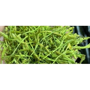 山银花增产价低 是否值得关注