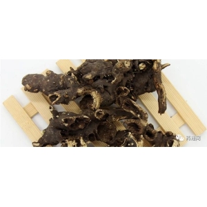 稳步上升的升麻
