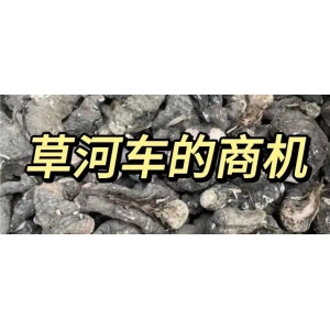 草河车的商机
