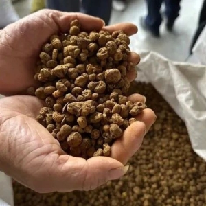 浙江一药农卖元胡10分钟赚52万元，业内人士：这是40年未遇