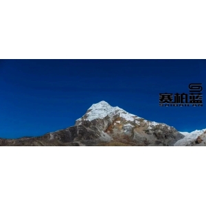 历史罕见！中药材价格异常猛涨、局面失控，幕后真正原因