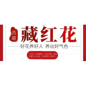 6月28日国家级万良人参市场最新价格
