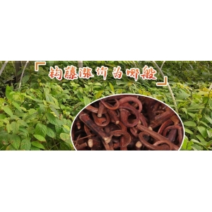 钩藤涨价为哪般