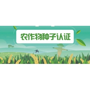 长图｜速看，种子也有官方认证了→