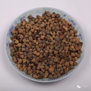 产地信息及时快讯（9.10）