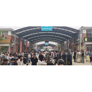 平邑金银花药材产地价格(2023.09.12)