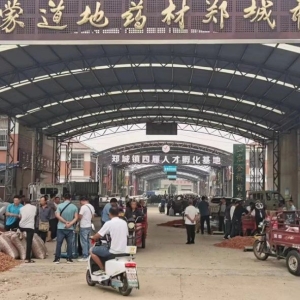 平邑山楂药材产地价格(2023.09.12）
