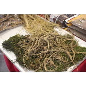 中药板块后市投资机会，可重点关注两个方向！