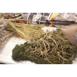 中药板块具有长期投资价值！