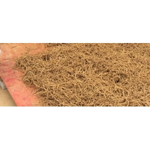 巴戟天库存薄弱产量跟不上 后市还有上涨的可能