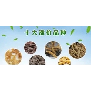 十大涨价品种