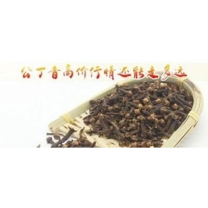 公丁香高价行情还能走多远