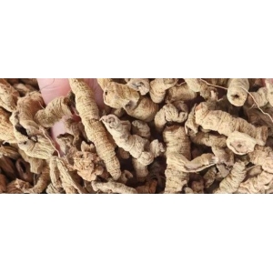 玉林药市9月点评：淡旺季转换的节点  涨跌品种情况各有不同