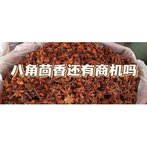 八角茴香还有商机吗