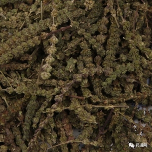 产地信息及时快讯（9.29）