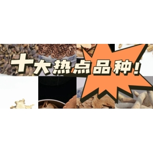 十大热点品种