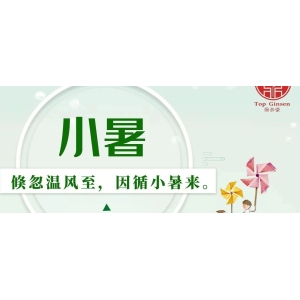 7月7日国家级万良人参市场最新价格