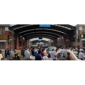 平邑金银花药材产地价格(2023.07.11)