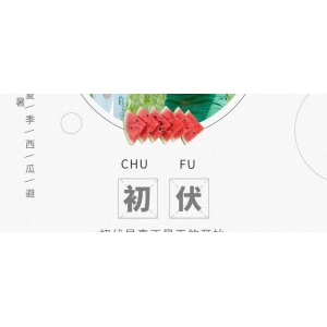 7月11日国家级万良人参市场最新价格