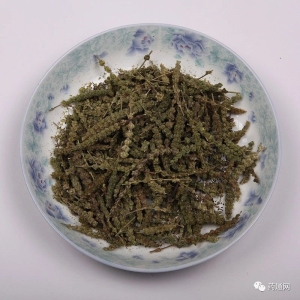 产地信息及时快讯（7.13）