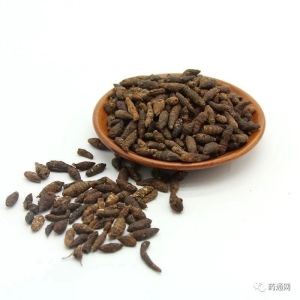 产地信息及时快讯