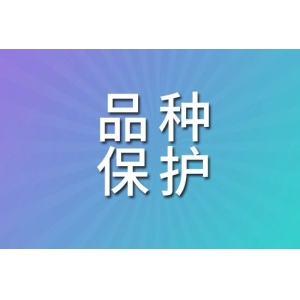 今年，近30款中药已申请品种保护！