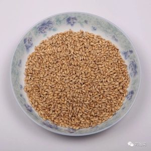 产地信息及时快讯（7.18）