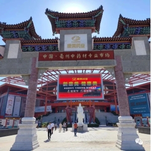 常见中药材“反季暴涨”幕后：谁在暗中助推供求失衡？