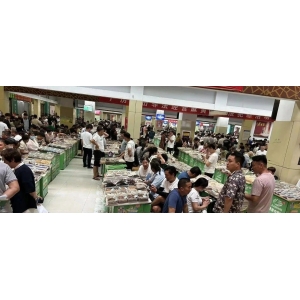 市场快讯|全国各大市场最新资讯（7.19）