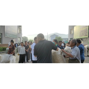 平邑金银花药材产地价格(2023.07.19)