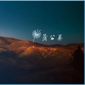 官答：中药配方颗粒专篇(二）