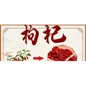 7月22日国家级万良人参市场最新价格