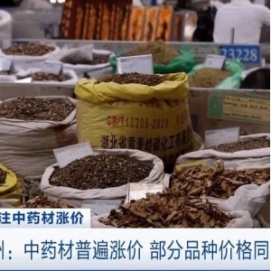 中药监管受限，药材在冷库游荡，公开立案调查刻不容缓！
