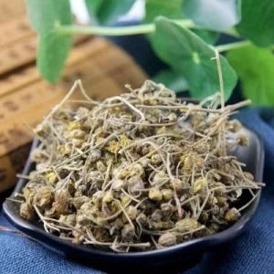 产地信息及时快讯（7.29）