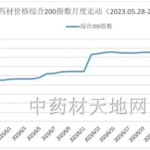 2023年6月综合200指数解读：“泛涨价”情况已有松动迹象
