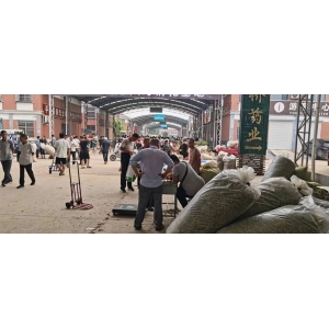 平邑金银花药材产地价格(2023.08.04)