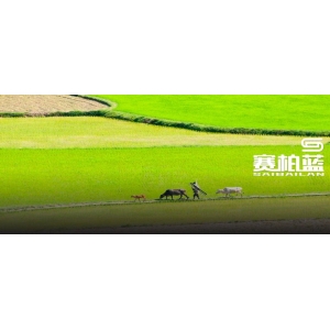 医保局：10月1日起，「取消」医院回款权