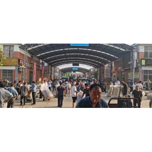 平邑金银花药材产地价格(2023.08.05)