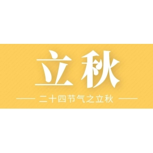 8月8日国家级万良人参市场最新价格