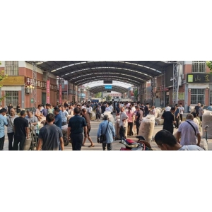 平邑金银花药材产地价格(2023.08.15)