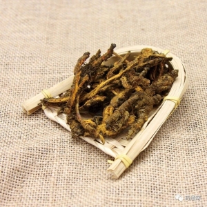 亳州市场快讯（8.20）