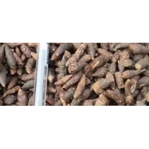 香附价格不低还值得关注吗？