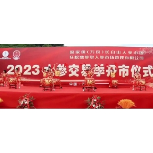 8月22日国家级万良人参市场最新价格