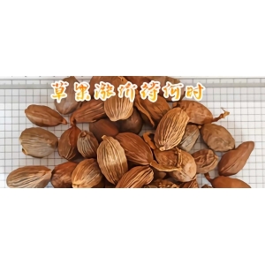 草果涨价待何时
