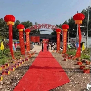 亳州市十八里镇地产药材交易市场开市及地产药材调查