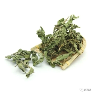 产地信息及时快讯（8.26）