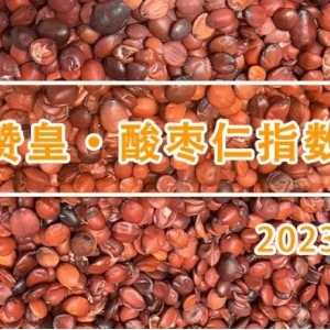 进入酸枣采摘收购季，酸枣仁原料价格迎来上涨